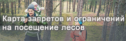 Карта запретов и ограничений на посещение лесов в районах Республики Беларусь